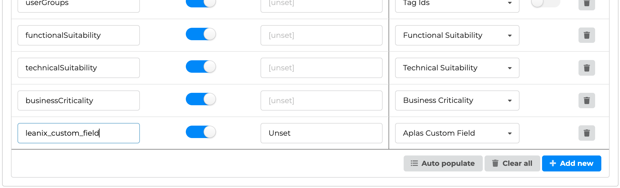 LeanIX custom field