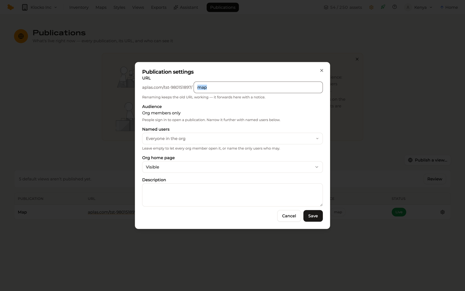 Publication settings for the Map publication: URL, Audience reading Org members only, Named users set to Everyone in the org, Org home page Visible, and Description